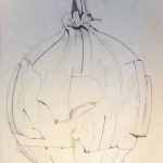 Drawing of an onion (pencil on paper)