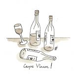 wine bottles and a glass (pen & ink)