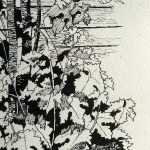 sketch-garden
